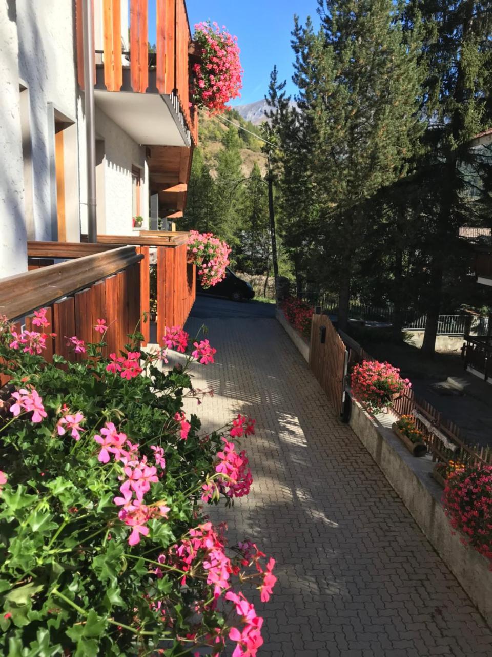 Hotel La Nigritella Bardonecchia Zewnętrze zdjęcie
